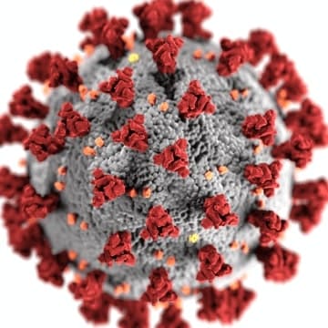 Corona Virus